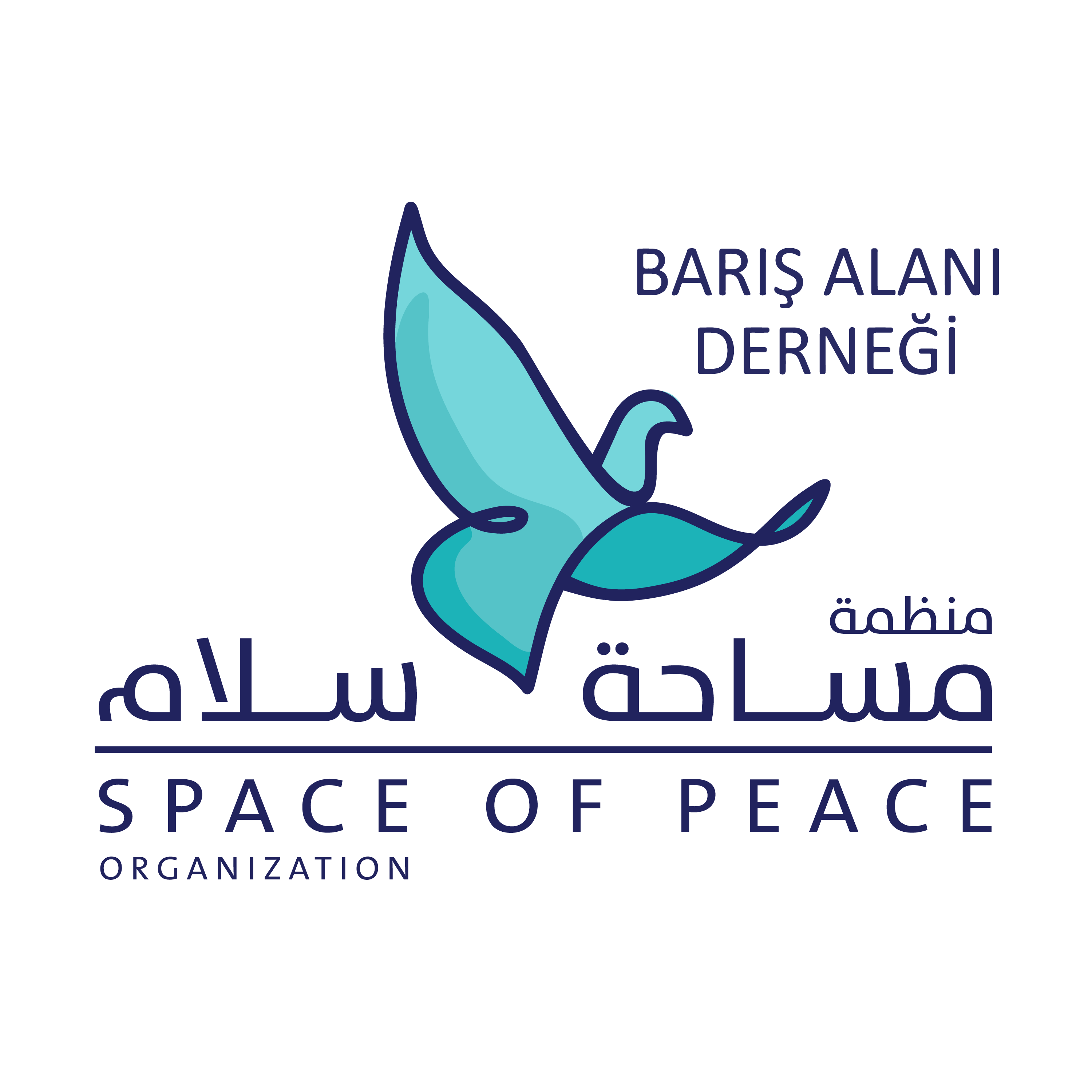 https://ensanydev.com/Space of Peace Organization